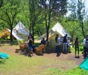 Camp in Oak forest at Bir