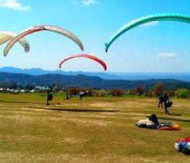short paragliding session in Bir Billing himachal pradesh for adventure