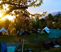 Camping and paragliding packages at Bir Billing himachal pradesh