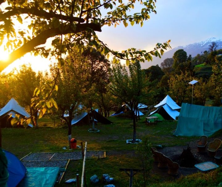 Camping and paragliding packages at Bir Billing himachal pradesh