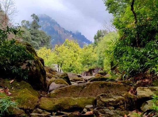 Hot water spring Trek in Bir Billing