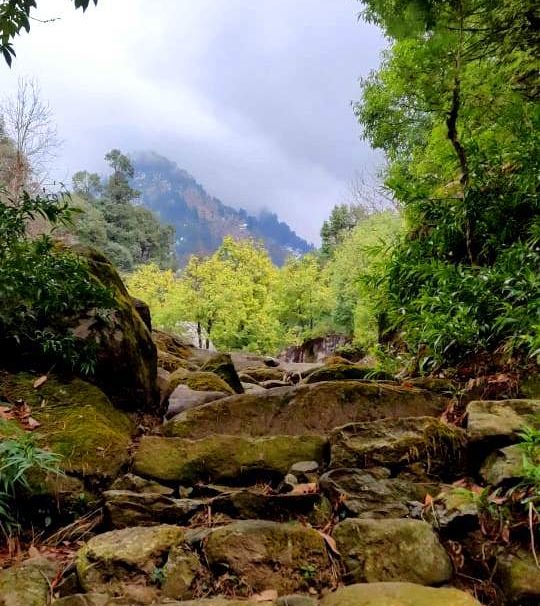 Hot water spring Trek in Bir Billing