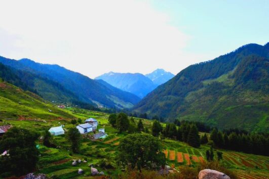 rajgundha and Barot safari trip