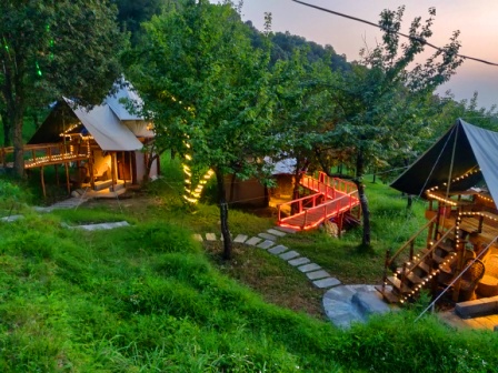 Night stay in Luxury Machaan Tent at Camp Oak View
