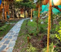 entry of cottages in Bir Billing